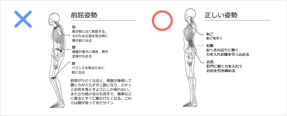 前屈姿勢　正しい姿勢